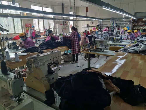 微山县人民政府 工作动态 马坡镇 服装厂给村里带来大变化......